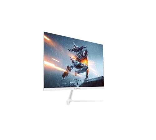 23.8" Raskat I24F10DAW (23.8',IPS, 1920*180, VGA+HDMI+DP, 4ms, 178°/178°, 1000:1, 100Hz, White)