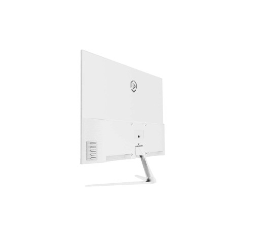 23.8" Raskat I24F10DAW (23.8',IPS, 1920*180, VGA+HDMI+DP, 4ms, 178°/178°, 1000:1, 100Hz, White)