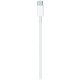 Кабель Apple MLL82ZM/A USB Type-C (m) USB Type-C (m) 2м белый
