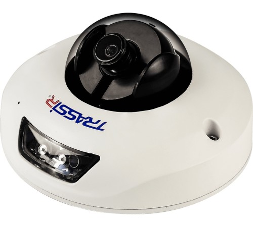 Видеокамера IP Trassir TR-D4121IR1 3.6-3.6мм цветная корп.:белый Видеокамера IP Trassir TR-D4121IR1 3.6-3.6мм цветная корп.:белый