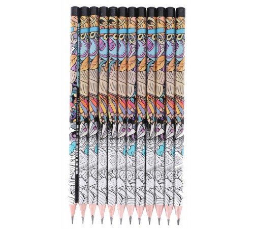 Карандаш чернографит. Deli EU53300-1 Arti Graff 2B шестигран. тополь рисунок (1шт) Карандаш чернографит. Deli EU53300-1 Arti Graff 2B шестигран. тополь рисунок (1шт)