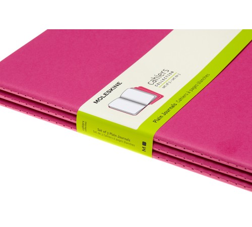 Блокнот Moleskine CAHIER JOURNAL CH023D17 XLarge 190х250мм обложка картон 120стр. нелинованный розовый неон (3шт) Блокнот Moleskine CAHIER JOURNAL CH023D17 XLarge 190х250мм обложка картон 120стр. нелинованный розовый неон (3шт)