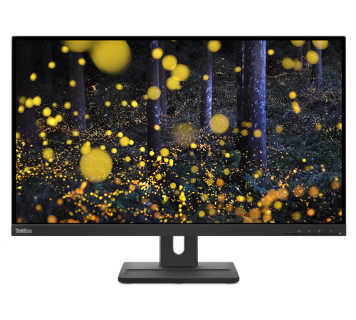 Монитор Lenovo 27" ThinkVision E27q-20 черный IPS 4ms 16:9 HDMI матовая 1000:1 300cd 178гр/178гр 2560x1440 DisplayPort