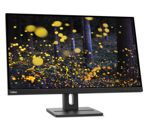 Монитор Lenovo 27" ThinkVision E27q-20 черный IPS 4ms 16:9 HDMI матовая 1000:1 300cd 178гр/178гр 2560x1440 DisplayPort