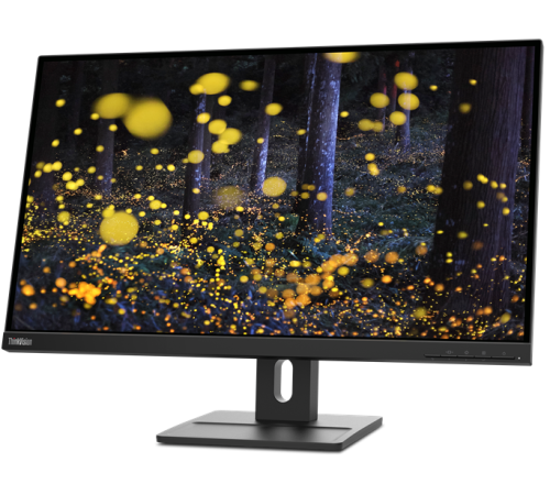 Монитор Lenovo 27" ThinkVision E27q-20 черный IPS 4ms 16:9 HDMI матовая 1000:1 300cd 178гр/178гр 2560x1440 DisplayPort