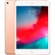 Планшет Apple iPad mini 2019 MUXE2RU/A A12 Bionic/RAM2Gb/ROM256Gb 7.9" IPS 2048x1536/3G/4G/iOS/золотистый/8Mpix/7Mpix/BT/WiFi/Touch/EDGE/9hr