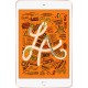 Планшет Apple iPad mini 2019 MUXE2RU/A A12 Bionic/RAM2Gb/ROM256Gb 7.9" IPS 2048x1536/3G/4G/iOS/золотистый/8Mpix/7Mpix/BT/WiFi/Touch/EDGE/9hr