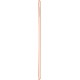 Планшет Apple iPad mini 2019 MUXE2RU/A A12 Bionic/RAM2Gb/ROM256Gb 7.9" IPS 2048x1536/3G/4G/iOS/золотистый/8Mpix/7Mpix/BT/WiFi/Touch/EDGE/9hr