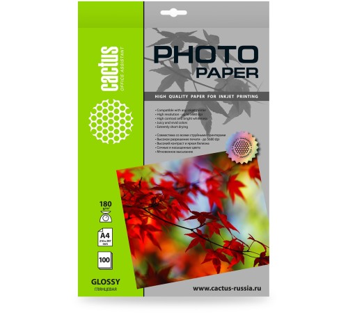 Фотобумага Cactus CS-GA4180100 A4/180г/м2/100л./белый глянцевое для струйной печати Фотобумага Cactus CS-GA4180100 A4/180г/м2/100л./белый глянцевое для струйной печати