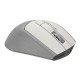 Мышь A4Tech Fstyler FG30 белый/серый оптическая (2000dpi) беспроводная USB (6but)