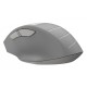Мышь A4Tech Fstyler FG30 белый/серый оптическая (2000dpi) беспроводная USB (6but)