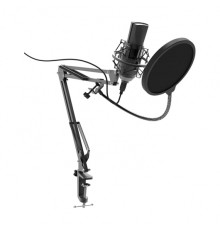 Микрофон проводной Ritmix RDM-180 2.5м черный