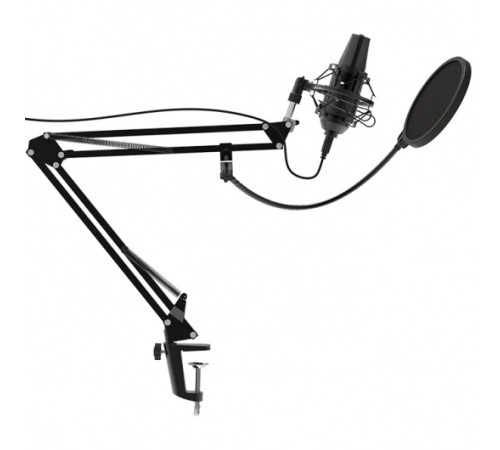 Микрофон проводной Ritmix RDM-180 2.5м черный Микрофон проводной Ritmix RDM-180 2.5м черный