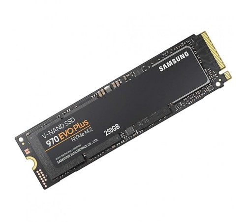 Твердотельный накопитель Samsung 970 EVO Plus MZ-V7S250BW