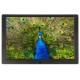 Фоторамка Digma 10.1" PF-1043 IPS 1280x800 черный пластик ПДУ Видео