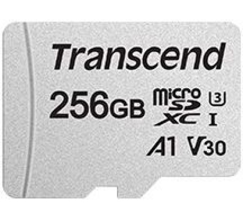 Карта памяти Transcend microSDXC 300S (TS256GUSD300S-A) Карта памяти Transcend microSDXC 300S (TS256GUSD300S-A)