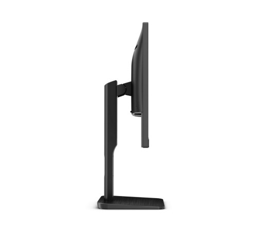 Монитор AOC 23.8" Professional 24P1(00/01) черный IPS LED 16:9 DVI HDMI M/M матовая HAS Pivot 1000:1 250cd 178гр/178гр 1920x1080 D-Sub DisplayPort FHD USB 4.6кг