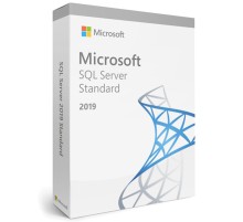 ПО Microsoft SQL Svr Standard Edtn 2019 English DVD 10 Clt (228-11548)