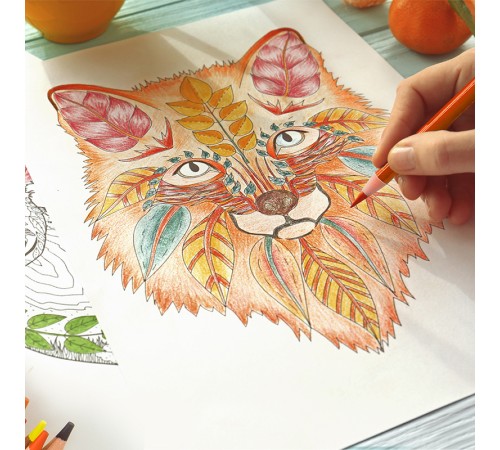 Карандаши цветные Deli 6565 липа 24цв. цветной корпус мет.кор.