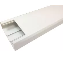 Короб Lanmaster LAN-CT120X50-WH 120x50мм белый 2м (упак.:1шт)