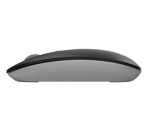 Мышь A4Tech Fstyler FG20 серый оптическая (2000dpi) беспроводная USB для ноутбука (4but) Мышь A4Tech Fstyler FG20 серый оптическая (2000dpi) беспроводная USB для ноутбука (4but)