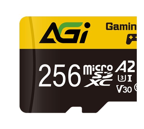 Карта памяти AGI 256GB microSD AGI256GGSTF138 Карта памяти AGI 256GB microSD AGI256GGSTF138