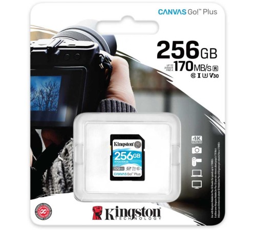 Флеш карта SDXC 256Gb Class10 Kingston SDG3/256GB Canvas Go! Plus w/o adapter