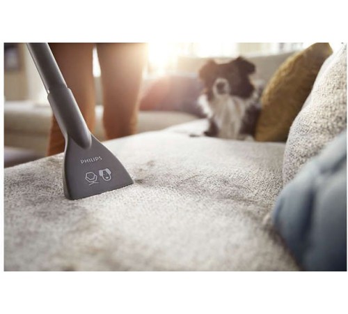 Пылесос Philips Philips 2000 Series XB2042/01