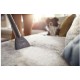 Пылесос Philips Philips 2000 Series XB2042/01