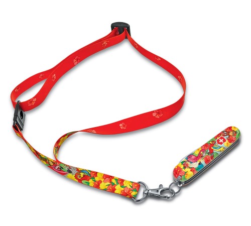 Нож перочинный Victorinox My First Victorinox Parrot Edition (0.2373.E3) 84мм 9функций красный/рисунок карт.коробка Нож перочинный Victorinox My First Victorinox Parrot Edition (0.2373.E3) 84мм 9функций красный/рисунок карт.коробка