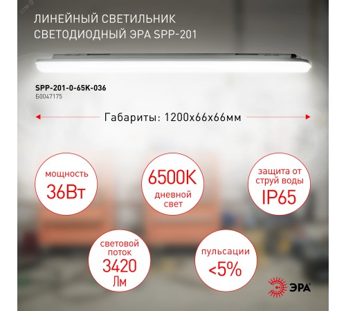 Светильник светодиодный линейный IP65 36Вт 3420Лм 6500К 1200мм мат SPP-201-0-65K-036 ЭРА Б0047175