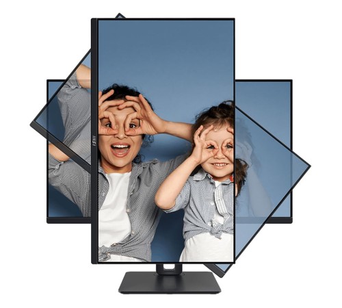 Монитор MSI PRO MP251P 24.5" 16:9 FHD(1920x1080) IPS Flat,1ms(MPRT),1300:1,100M:1,300nit,178/178,HDMI 1.4,VGA(D-Sub),Speaker,Tilt,Swivel,Height,Pivot,VESA,100Hz,Black,1y war-ty (9S6-3PC29M-033)
