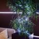 Гирлянда Neon-Night Home Кластер LED мишура 288лам. дл.3м (303-625)