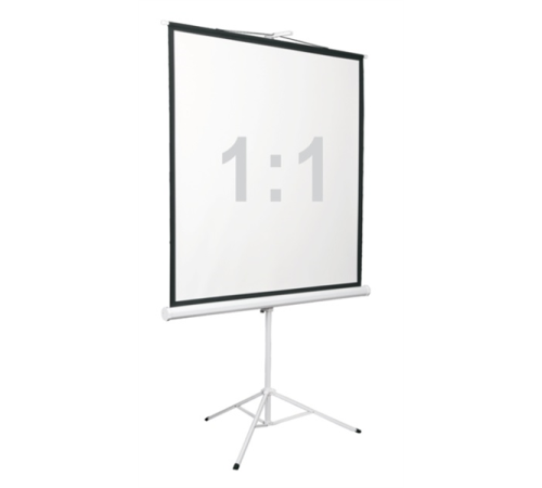 Экран на штативе Digis DSKD-1105, формат 1:1, 100" (186x189), MW, Kontur-D (DSKD-1105)
