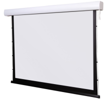 Экран настенный с электроприводом Digis DSTP-16905 (TAB-Tension, формат 16:9, 120", 271x184, рабочая поверхность 265x149, MW) (DSTP-16905)