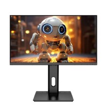 Монитор 23.8" AIWA MF240E Black