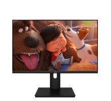 Монитор 21.5" AIWA MF2203 Black