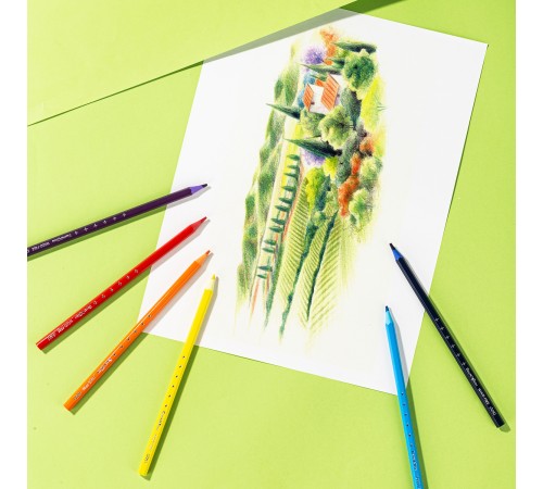 Карандаши цветные Deli EC112-24 Enovation трехгранные пластик 24цв. карт.тубус (24шт)