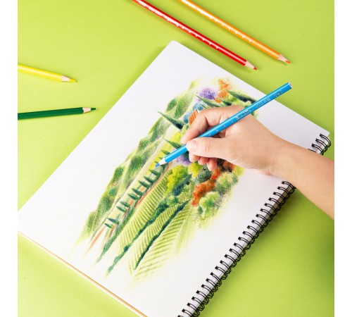 Карандаши цветные Deli EC112-24 Enovation трехгранные пластик 24цв. карт.тубус (24шт)