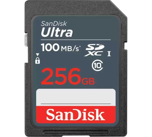 Флеш карта SDHC 256Gb Class10 Sandisk SDSDUNR-256G-GN3IN Ultra