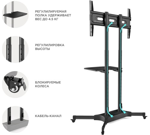 Подставка для телевизора Onkron TS1351 черный 40"-65" макс.45.5кг напольный мобильный Подставка для телевизора Onkron TS1351 черный 40"-65" макс.45.5кг напольный мобильный