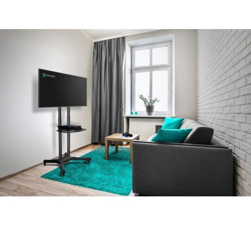 Подставка для телевизора Onkron TS1351 черный 40"-65" макс.45.5кг напольный мобильный Подставка для телевизора Onkron TS1351 черный 40"-65" макс.45.5кг напольный мобильный