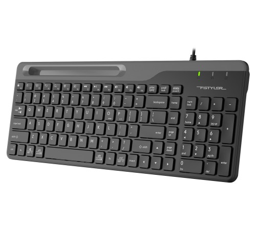 Клавиатура A4Tech Fstyler FK25 черный USB slim Клавиатура A4Tech Fstyler FK25 черный USB slim