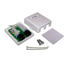 Настенная розетка, 2 порта RJ-45 категории 6, UTP, белая (TWT-SM2-4545/6-WH)