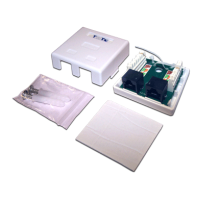 Настенная розетка, 2 порта RJ-45 категории 6, STP, белая (TWT-SM2-4545/S6-WH)