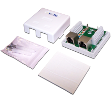 Настенная розетка, 2 порта RJ-45 категории 5е, STP, белая (TWT-SM2-4545/S-WH)