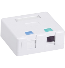 Корпус розетки ITK Корпус настенной розетки для 2 мод. Keystone Jack (CS2-022)