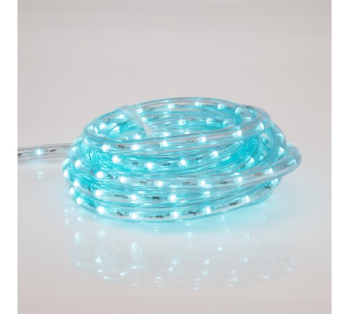 Neon-night 245-119 Дюралайт LED , свечение с динамикой (2W) - RGB O 13мм, 36LED/м, 14м Neon-night 245-119 Дюралайт LED , свечение с динамикой (2W) - RGB O 13мм, 36LED/м, 14м