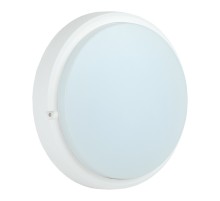 Светильник IEK 15Вт 6500K белый (LDPO0-4007-15-6500-K01)