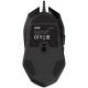 Мышь Acer OMW170 черный оптическая (3200dpi) USB (6but)
